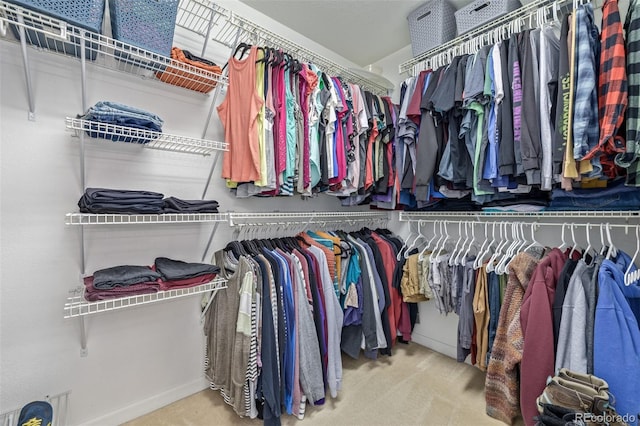 walk in closet featuring carpet flooring