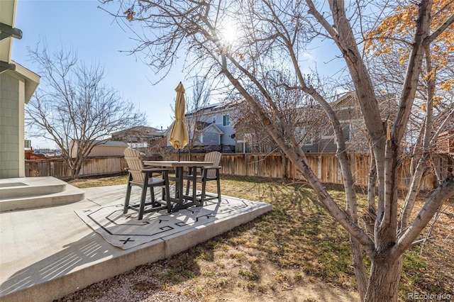 view of yard with a patio area and a fenced backyard