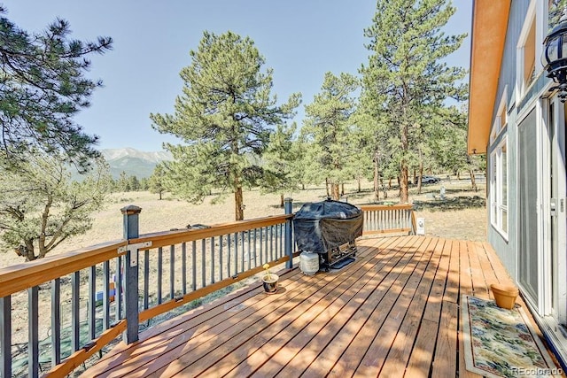 18060 Rio Hondo Dr, Buena Vista, CO 81211 - photo 7