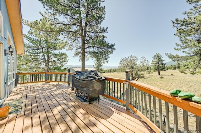 18060 Rio Hondo Dr, Buena Vista, CO 81211 - photo 8