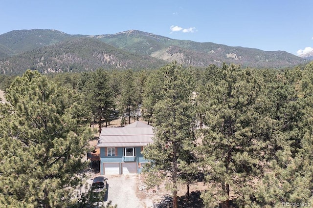 18060 Rio Hondo Dr, Buena Vista, CO 81211 - photo 39