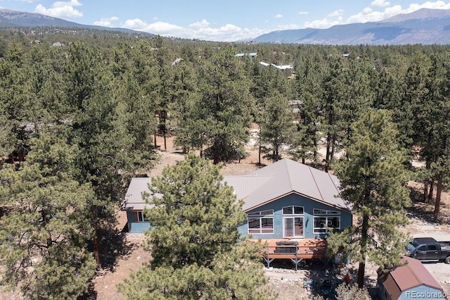 18060 Rio Hondo Dr, Buena Vista, CO 81211 - photo 48