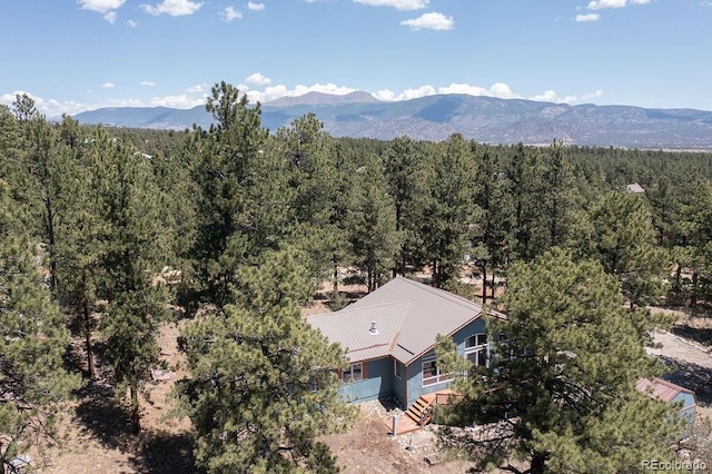 18060 Rio Hondo Dr, Buena Vista, CO 81211 - photo 49