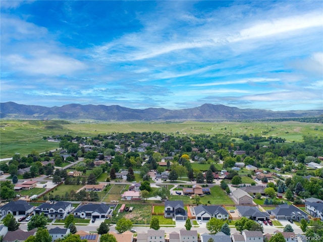 3343 S Newcombe St, Lakewood, CO 80227 - photo 9