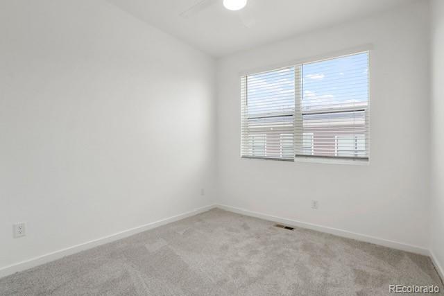 7959 Yampa River Ave, Littleton, CO 80125 - photo 15