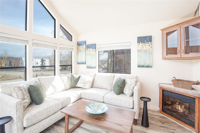 living room featuring lofted ceiling and hardwood / wood-style floors