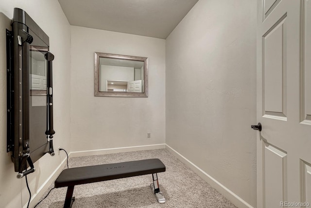 1250 Cottontail Trl, Woodland Park, CO 80863 - workout room with carpet floors and baseboards