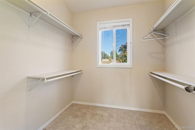 walk in closet with light colored carpet