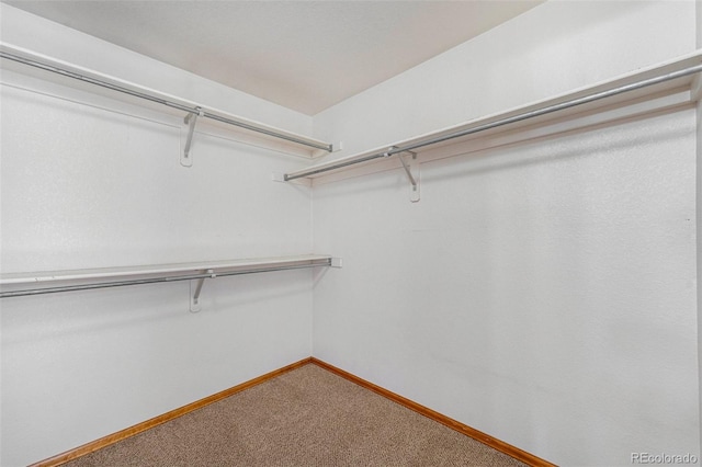 13504 Pecos St, Westminster, CO 80234 - walk in closet featuring carpet flooring