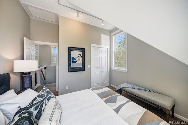 17 Meadow Lark Grn, Breckenridge, CO 80424 - bedroom with carpet, track lighting, attic access, and a closet