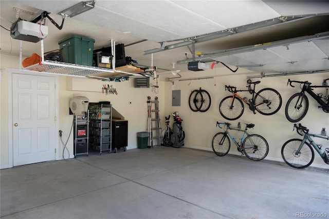 17 Meadow Lark Grn, Breckenridge, CO 80424 - garage with a garage door opener and electric panel