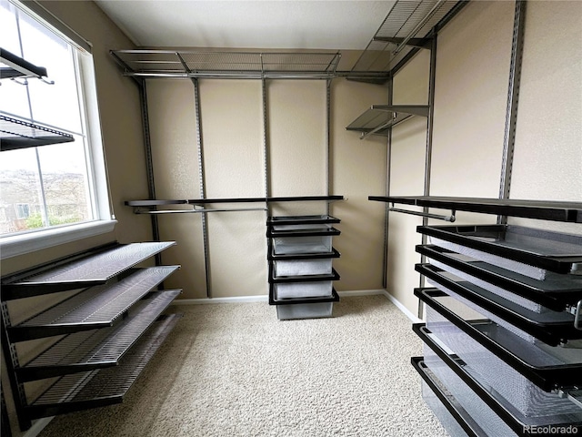 spacious closet with light colored carpet