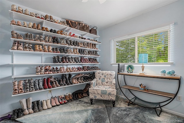 2900 Purcell St Unit 6, Brighton, CO 80601 - walk in closet featuring carpet flooring