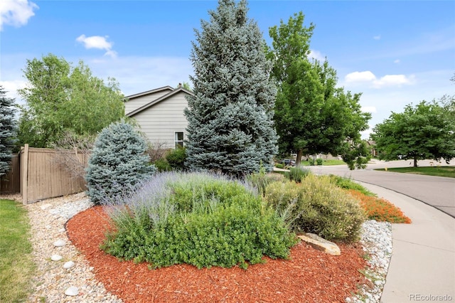 5045 Stonecrop Cir, Castle Rock, CO 80109 - photo 8