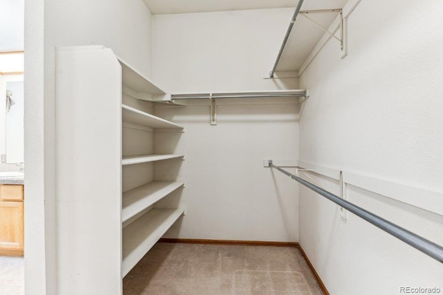 spacious closet featuring light carpet