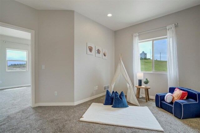 15580 Rigge Ct, Elbert, CO 80106 - game room with carpet floors, plenty of natural light, baseboards, and recessed lighting