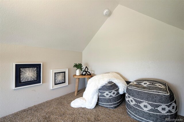 15580 Rigge Ct, Elbert, CO 80106 - detailed view of carpet floors