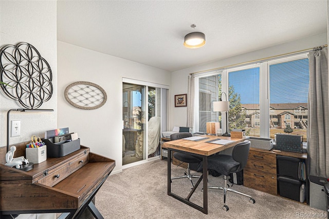 carpeted office space with baseboards and a textured ceiling