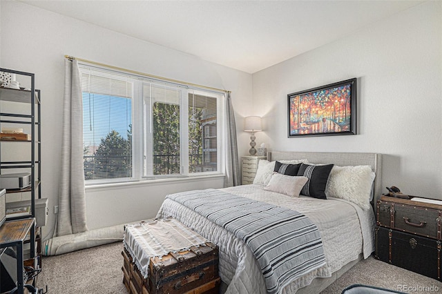 bedroom with carpet floors