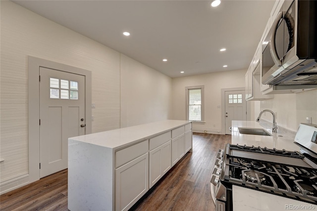 kitchen featuring recessed lighting, dark wood-style floors, appliances with stainless steel finishes, and a sink