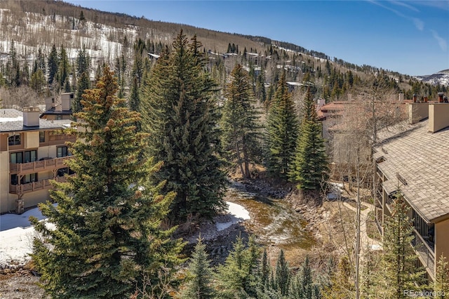 property view of mountains featuring a wooded view