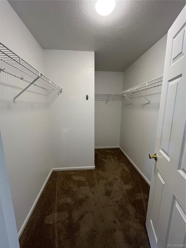 20558 E Grand Ln, Aurora, CO 80015 - walk in closet with carpet