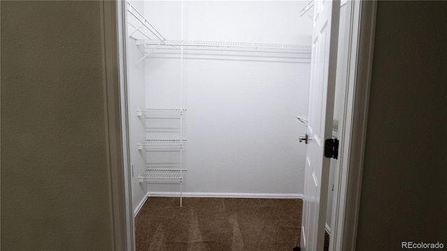 spacious closet with carpet floors