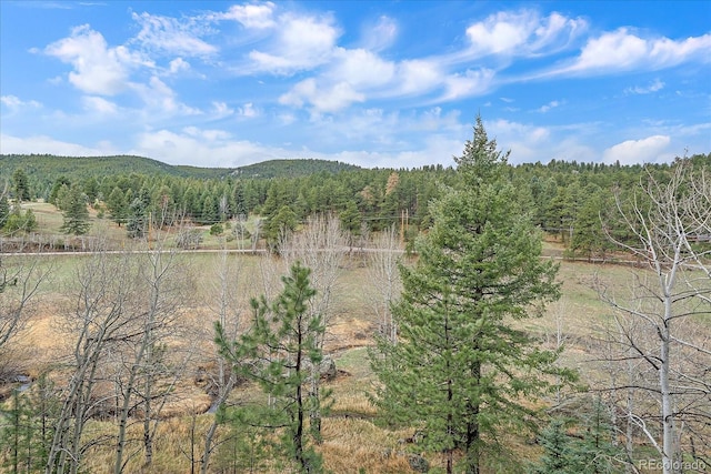 property view of mountains featuring a view of trees