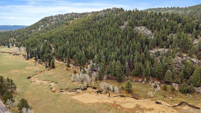 birds eye view of property featuring a view of trees and a mountain view
