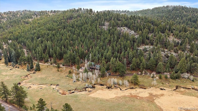 bird's eye view with a wooded view