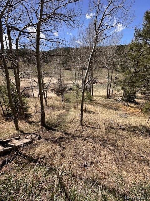 view of local wilderness