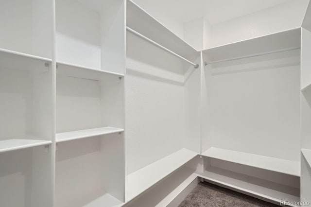 spacious closet with carpet