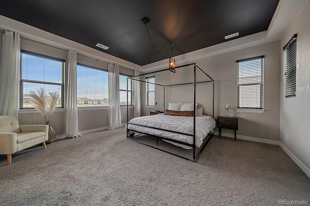 14589 Hagus Pl, Parker, CO 80134 - carpeted bedroom with baseboards
