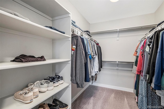 spacious closet with carpet