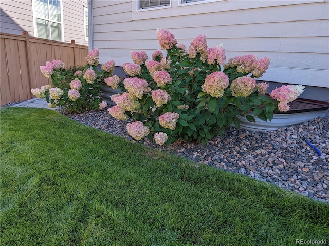 exterior details with fence