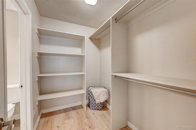 walk in closet with light wood-style flooring