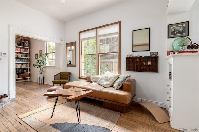 1776 S Logan St, Denver, CO 80210 - living room with hardwood / wood-style floors and baseboards