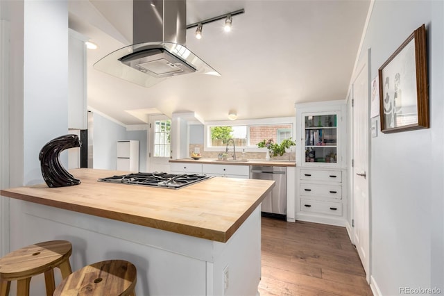 1776 S Logan St, Denver, CO 80210 - kitchen featuring stainless steel appliances, a sink, a peninsula, island range hood, and white cabinetry