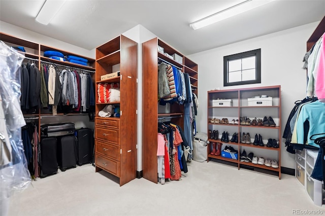 walk in closet featuring carpet