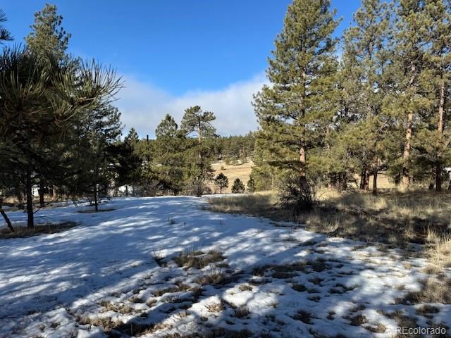 291 Rhyolite Ln, Florissant CO, 80816 land for sale