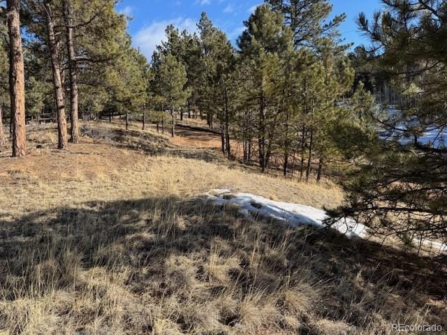 Listing photo 2 for 291 Rhyolite Ln, Florissant CO 80816