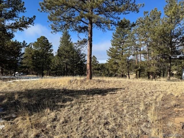 Listing photo 3 for 291 Rhyolite Ln, Florissant CO 80816