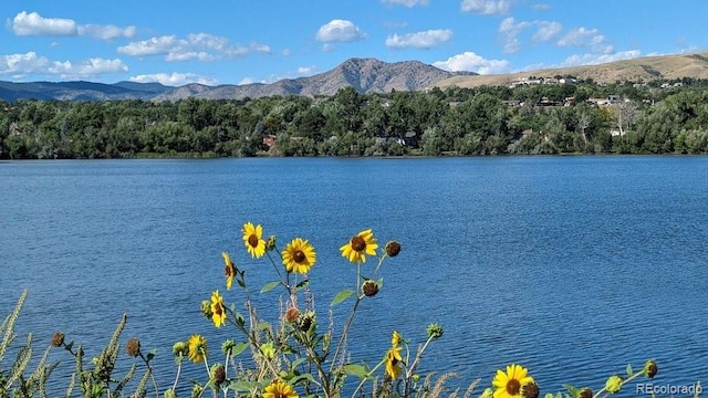 water view featuring a mountain view