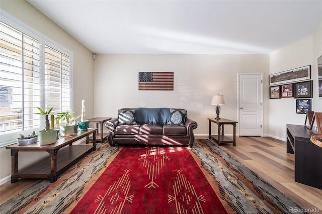 living room with a wealth of natural light and hardwood / wood-style floors