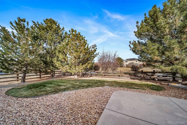 view of yard with a patio area