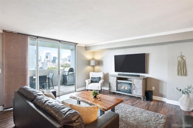 living room featuring ornamental molding, expansive windows, and dark wood-type flooring