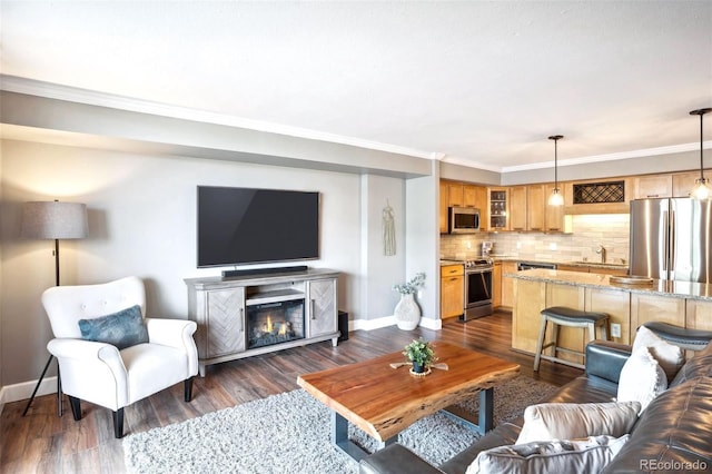 living room with crown molding, dark hardwood / wood-style flooring, and sink