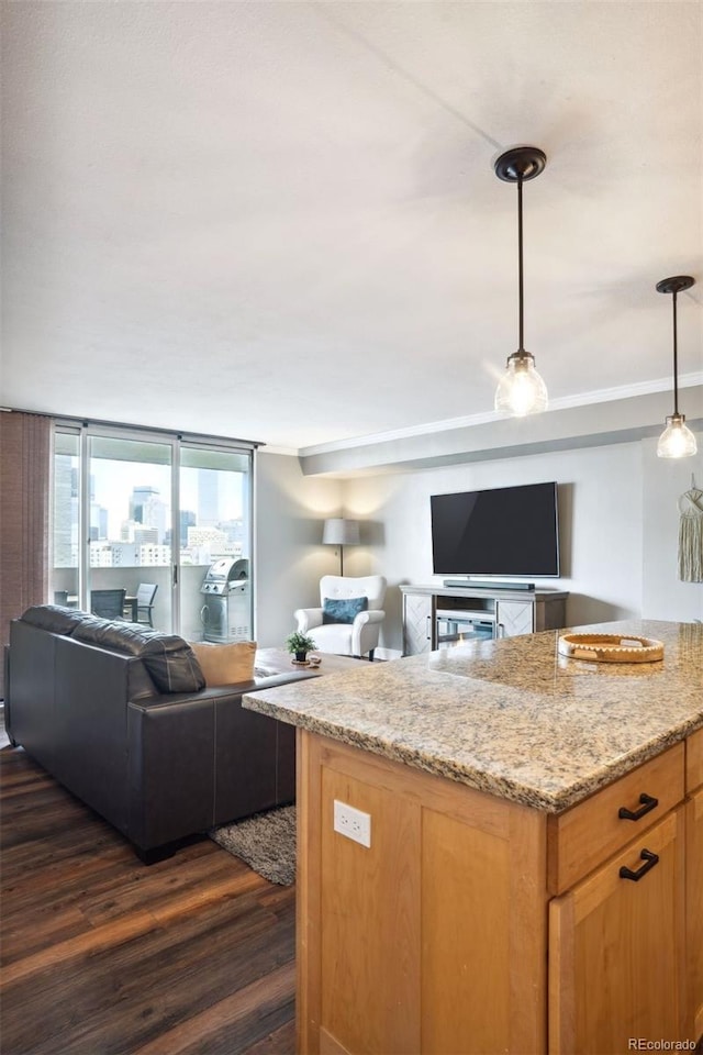 kitchen with decorative light fixtures, dark hardwood / wood-style floors, light stone countertops, and floor to ceiling windows