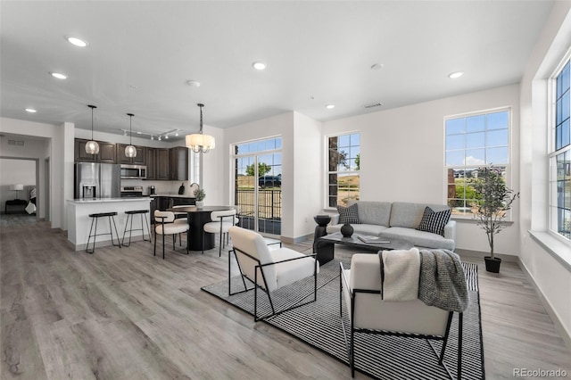 living room featuring a wealth of natural light and light hardwood / wood-style flooring