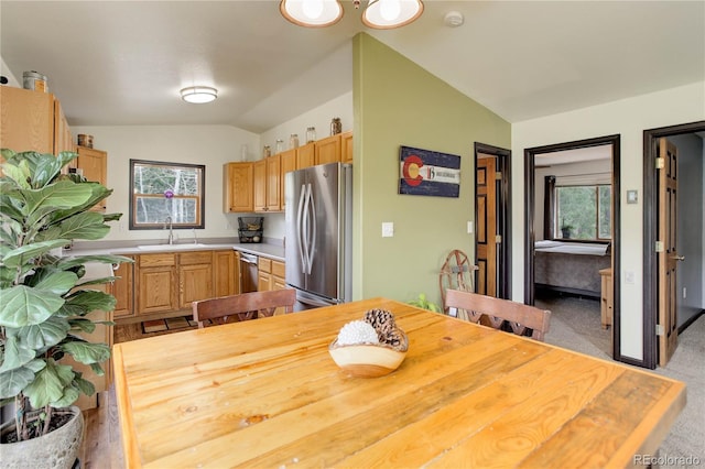 234 Bailey Dr, Bailey, CO 80421 - kitchen featuring stainless steel appliances, lofted ceiling, a sink, healthy amount of natural light, and light countertops